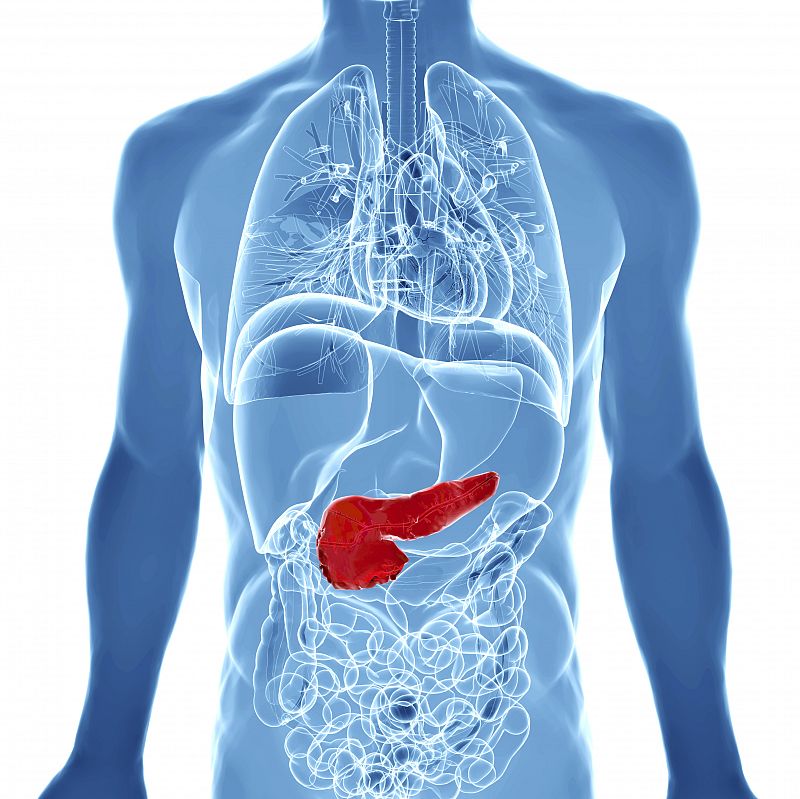Un fármaco para leucemia frena el cáncer de páncreas en un ensayo con ratones