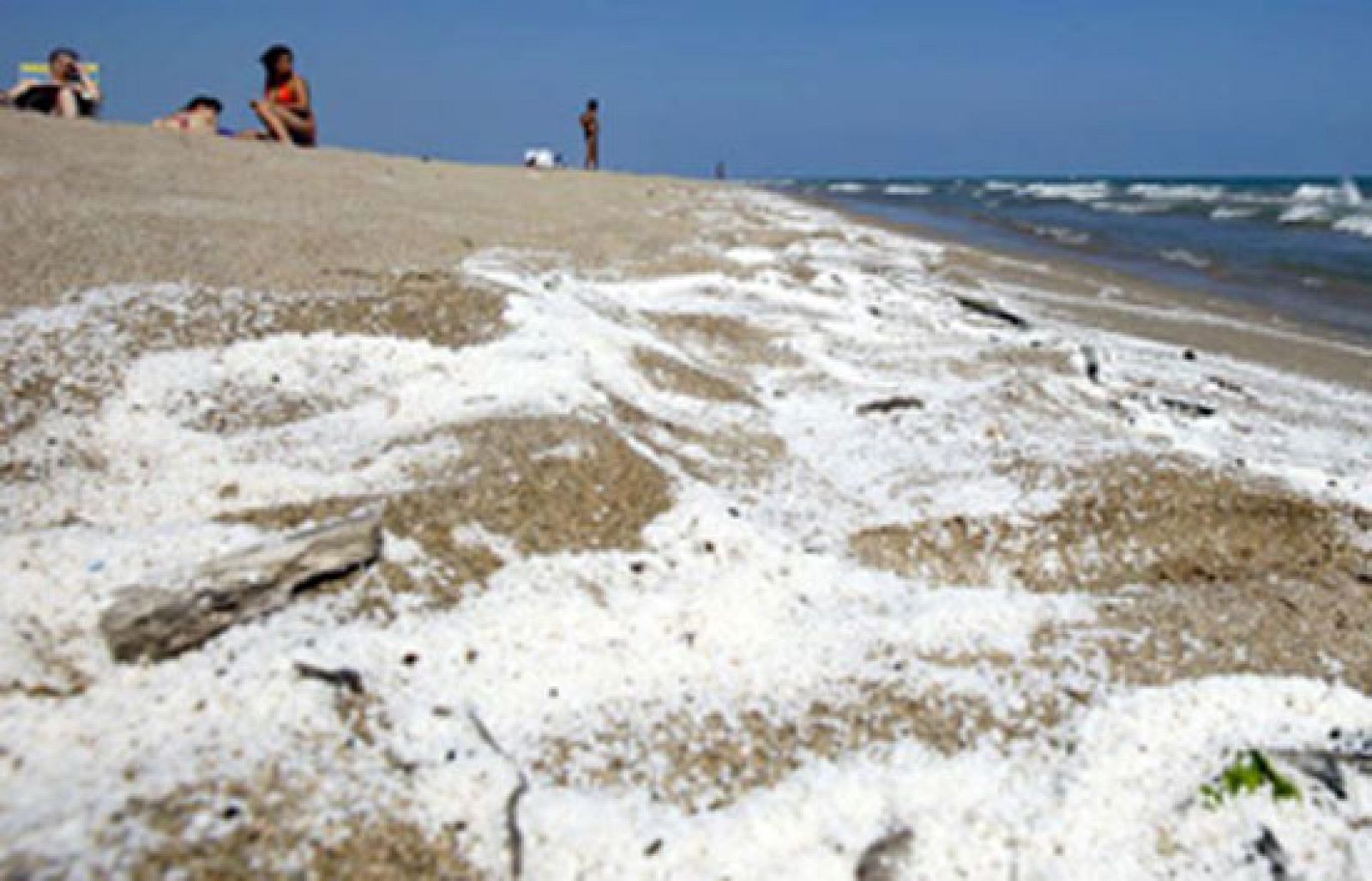 Alarma entre los bañistas