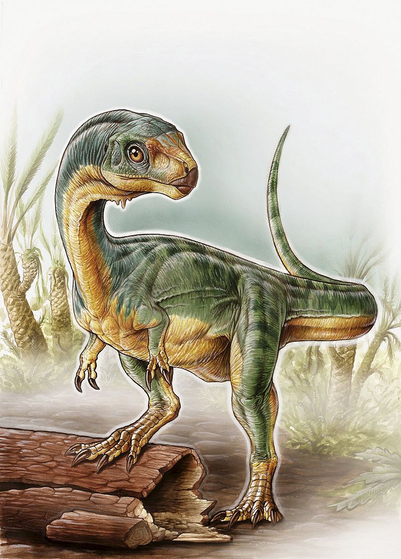 Un nuevo dinosaurio chileno plantea un rompecabezas evolutivo a los expertos