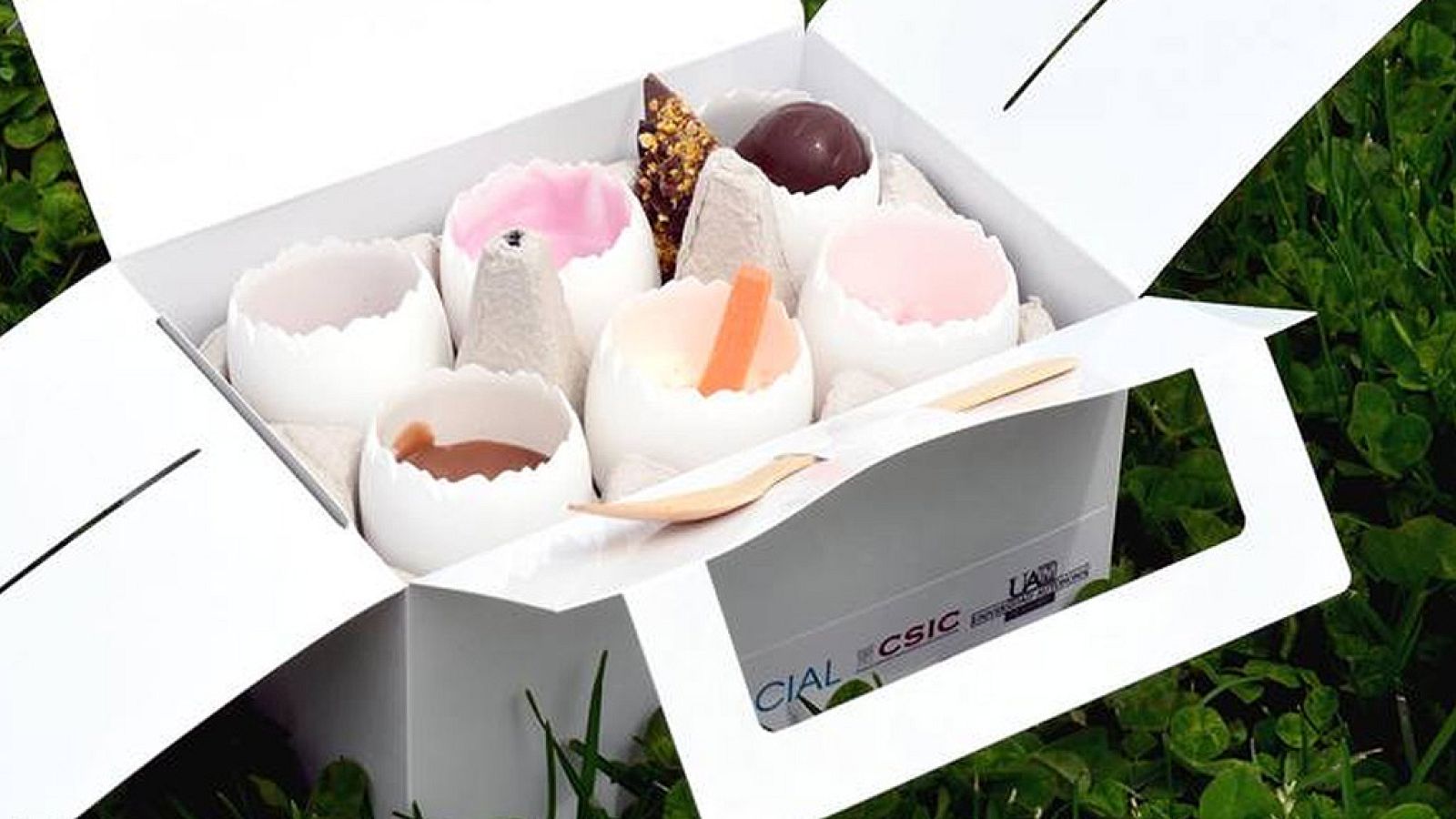 Crean aperitivos sin grasas ni azúcares a partir de proteínas de huevo