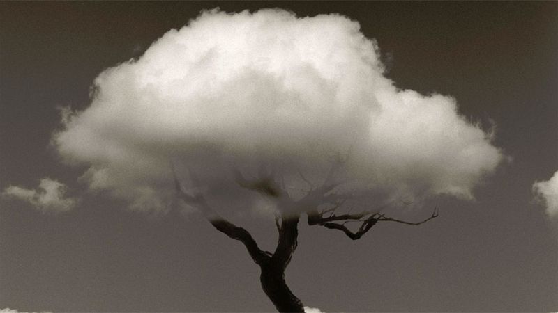 Chema Madoz: "La fotografía está más próxima a la poesía que a la prosa"