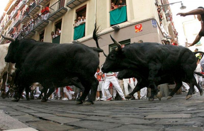 Muy emocionante el encierro de los toros de  la ganadería Jandilla