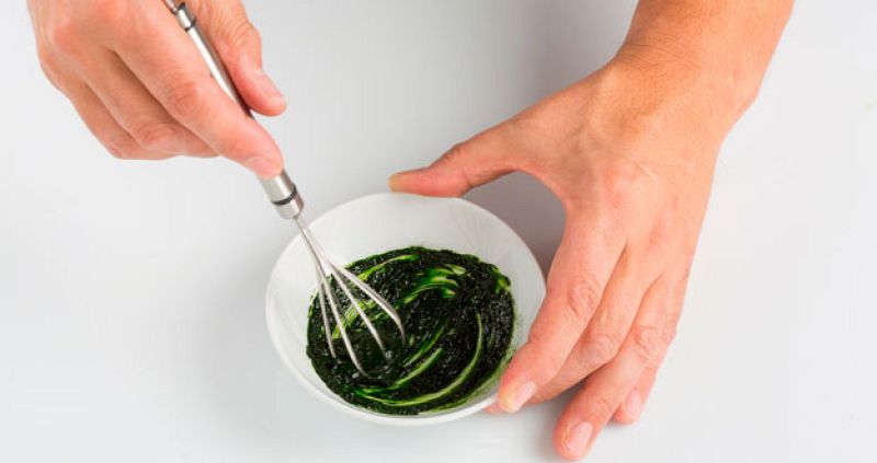 Qu es el plancton marino?