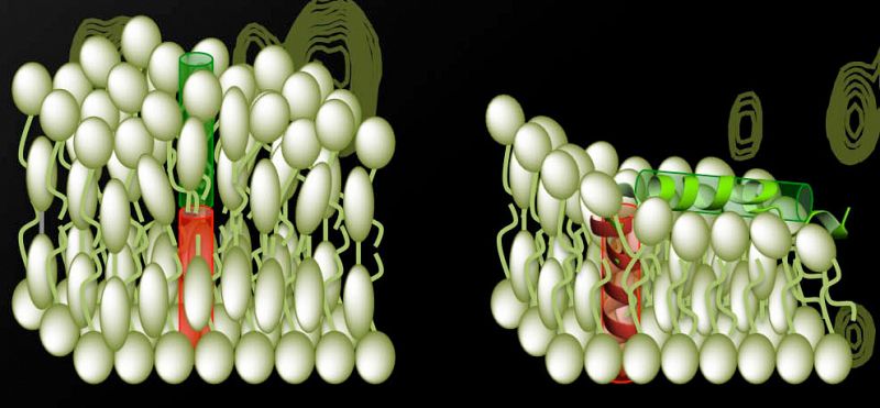 Parte de la estructura de una proteína del VIH podría abrir nuevas vías para tratar el sida