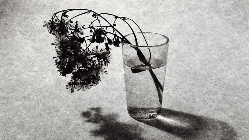 La obra del fot�grafo mallorqu�n Tony Catany es una constante b�squeda de la belleza