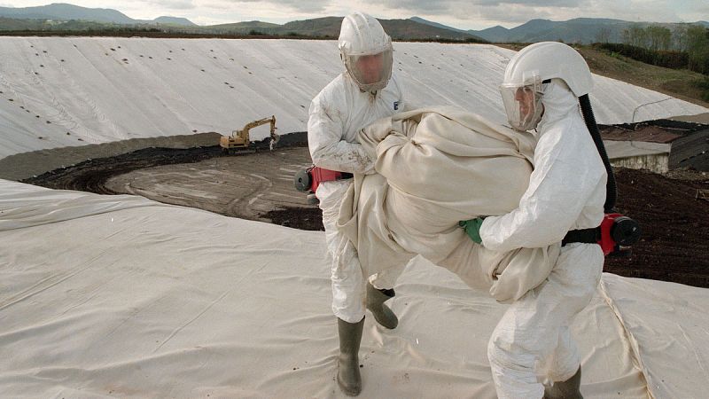 La OMS relaciona los insectidas con lindano y el DDT con el cáncer