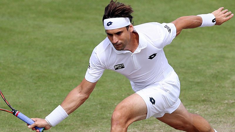 David Ferrer se pierde Wimbledon por una lesión en el codo