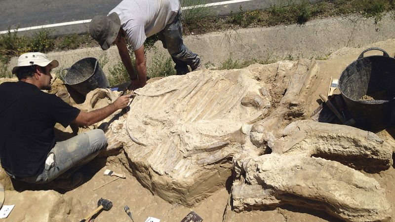 Descubren el esqueleto de un rinoceronte de hace tres millones de años en La Rioja