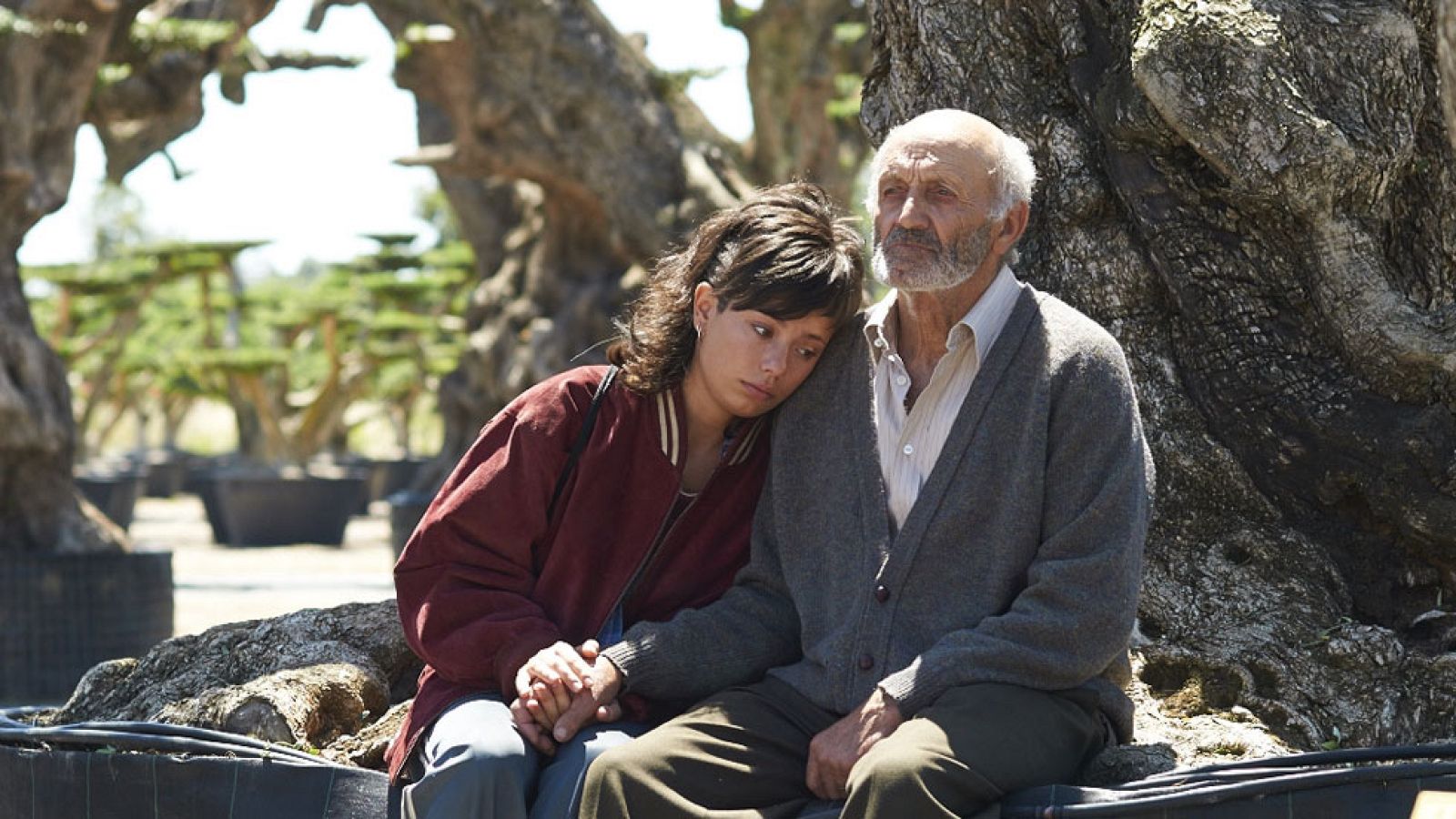 Iciar Bollaín finaliza el rodaje de 'El olivo' | Ver