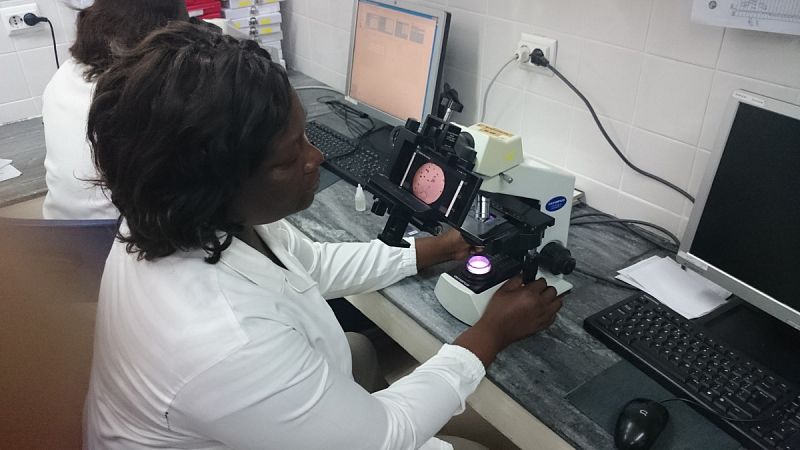 Primer "telediagnóstico" colaborativo de la malaria desde África
