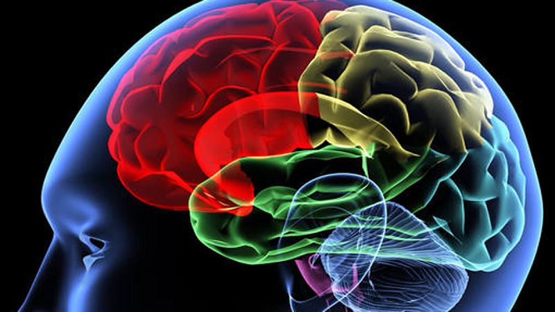 Los imanes podrían ser útiles para tratar enfermedades neurológicas y psiquíatricas