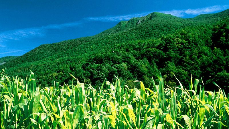 WWF avisa de que la Tierra ha consumido ya sus recursos naturales de este año