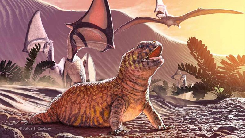 Un lagarto fósil hallado en Brasil da un vuelco a la evolución de estos reptiles