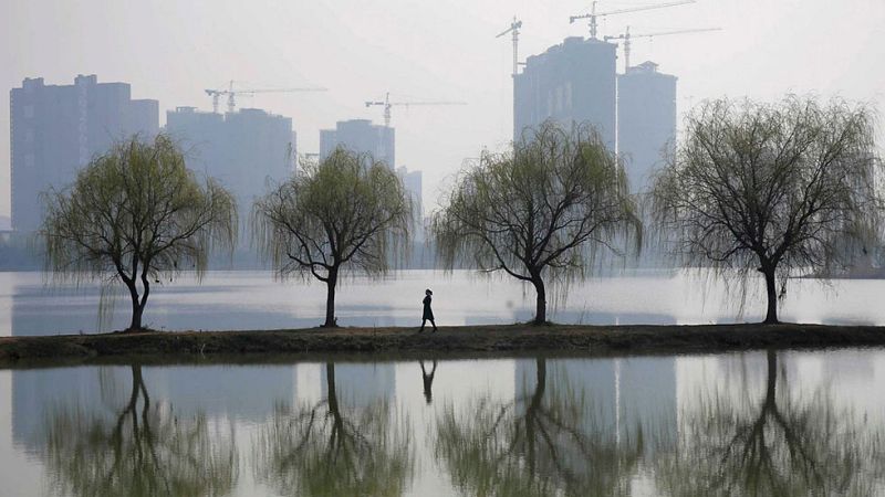 En la Tierra hay tres billones de árboles, casi ocho veces más de lo que se pensaba