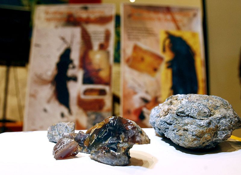 Descubren insectos desconocidos del Cretácico conservados en ámbar en Cantabria