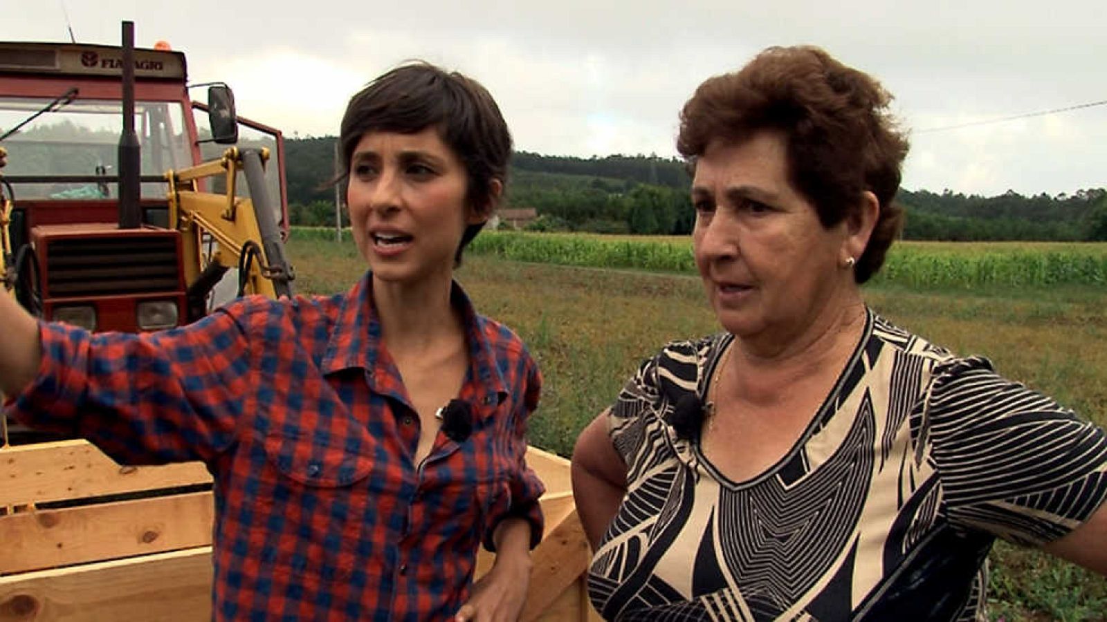 Comando Actualidad - De temporada - Ver ahora