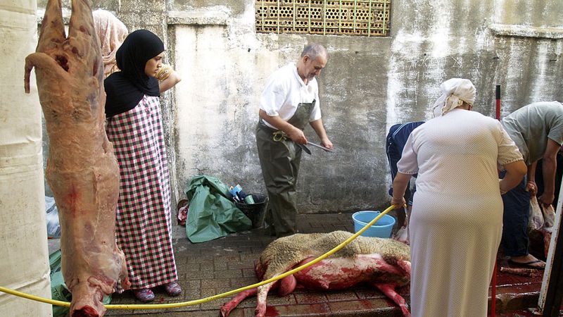 Más de 1,8 millones de musulmanes en España celebran la fiesta del sacrificio del cordero