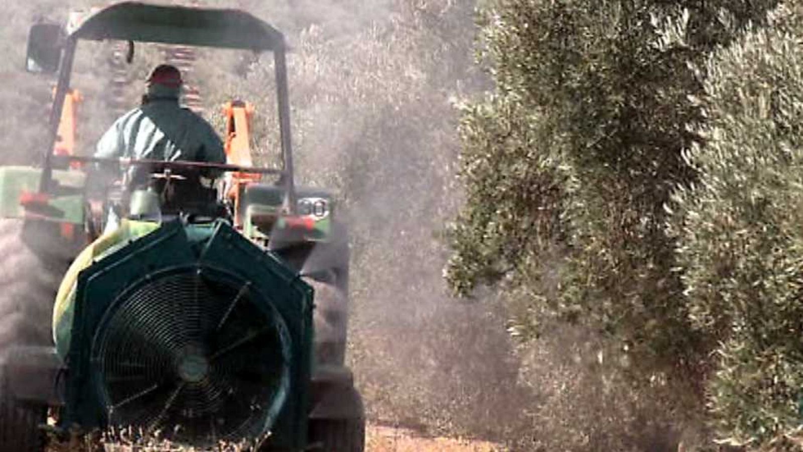 El escarabajo verde - Plagas de importación (2) - Ver ahora