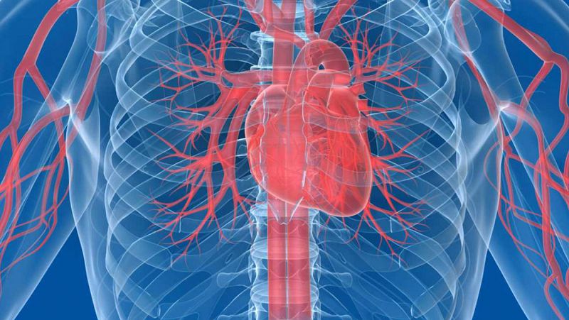 Los secretos para un corazón feliz: vida sana y control del colesterol, la diabetes y la tensión arterial