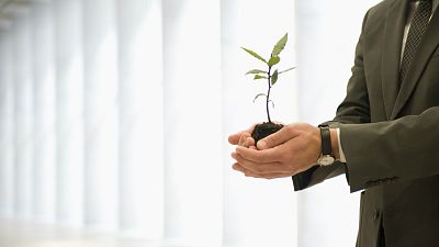 Sostenible y renovable en Radio 5 - Objetivos de desarrollo sostenible - Escuchar ahora