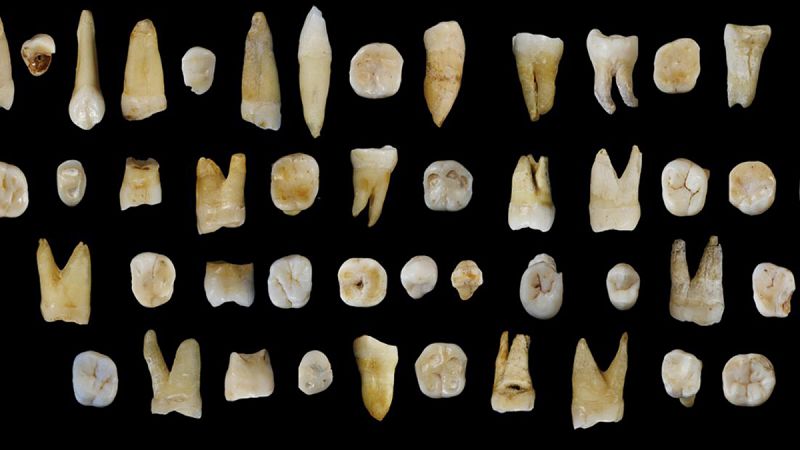 El Homo sapiens llegó a Asia hace al menos 80.000 años, antes de lo pensado