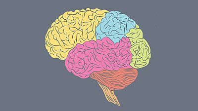 Secretos del cerebro - Neuroplasticidad - 21/10/15 - Escuchar ahora