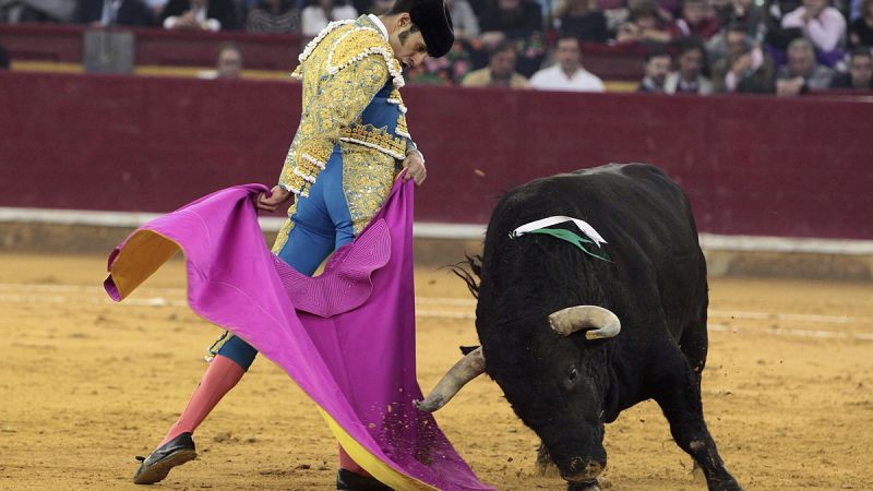 La Eurocámara apoya no financiar actividades taurinas que impliquen la muerte del toro con fondos europeos