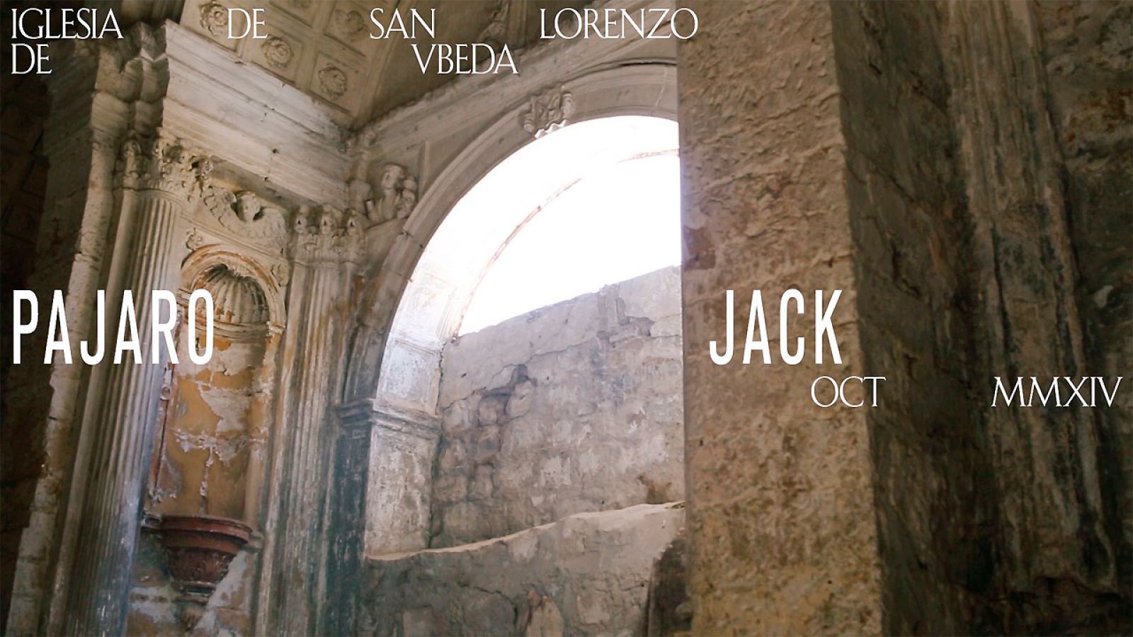 Pájaro Jack - David Luiz - Ver ahora