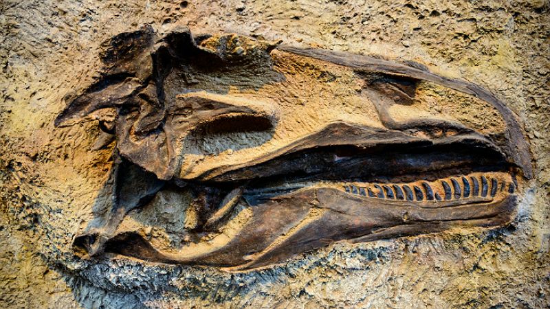 La extinción de los dinosaurios