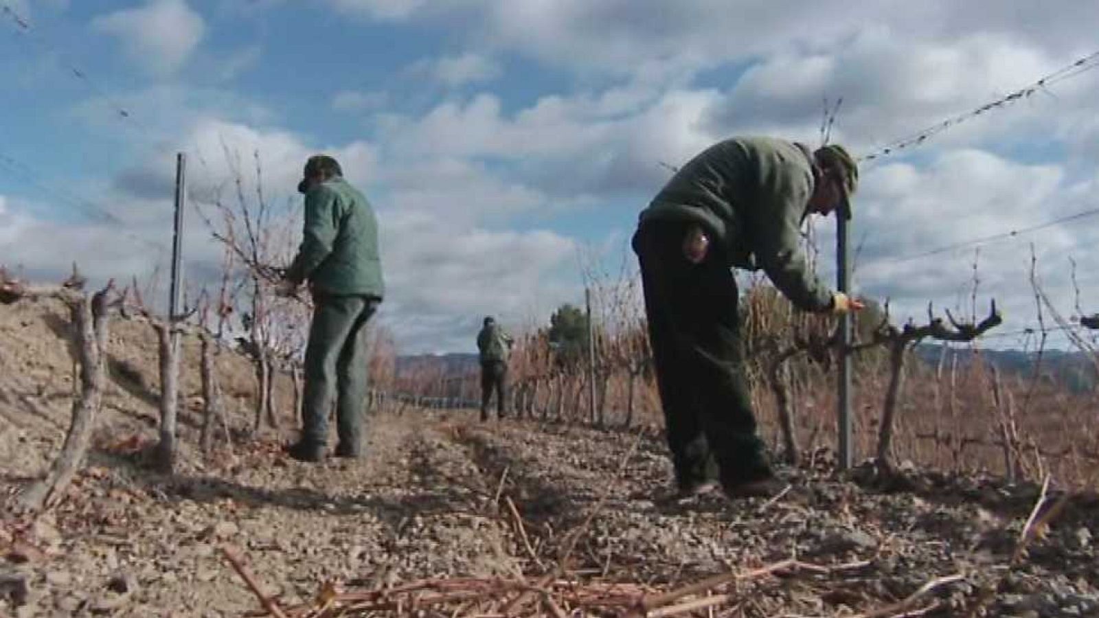 Fábrica de ideas - 07/11/15 - ver ahora