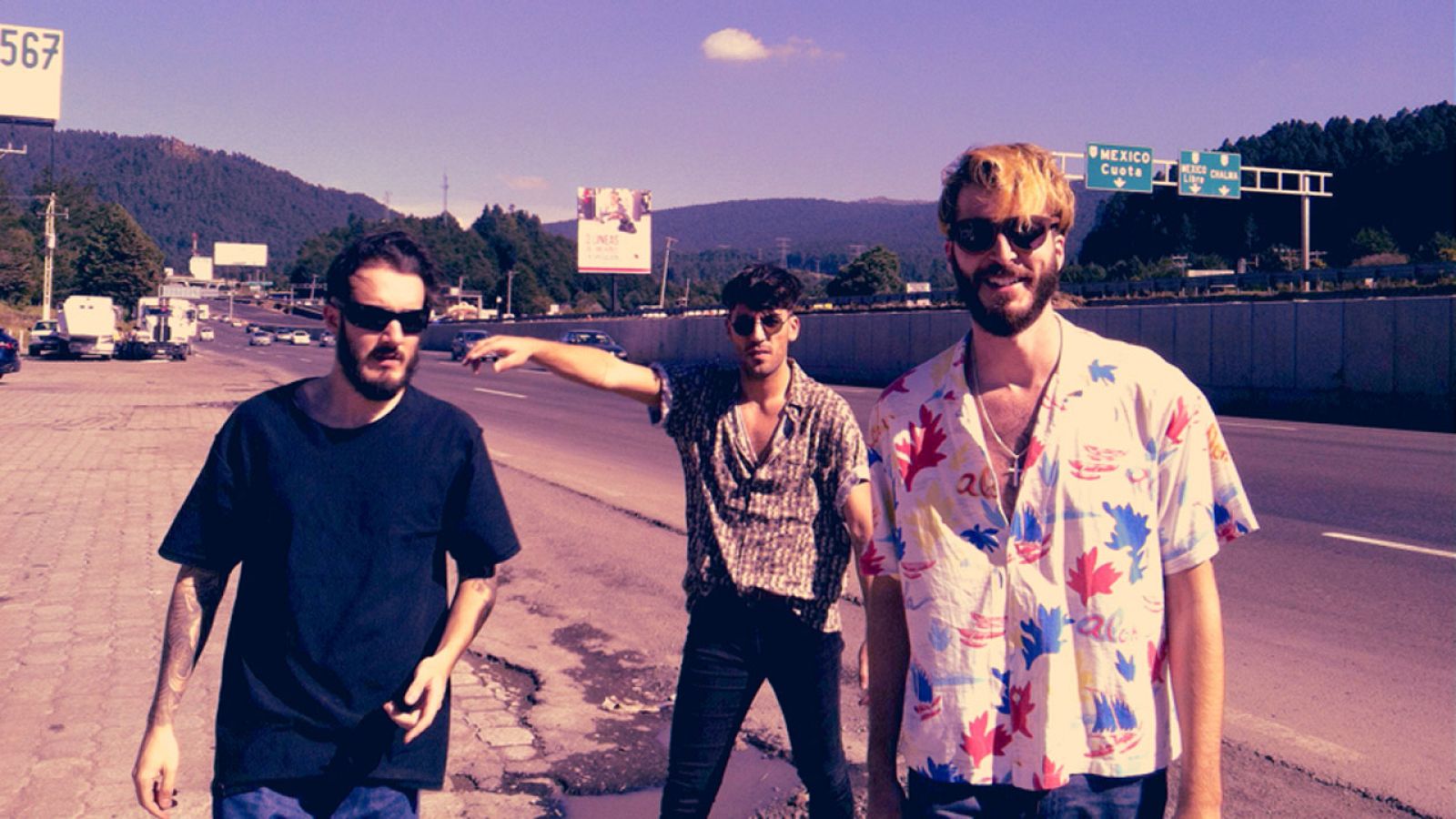 Sexy Zebras en México (I)