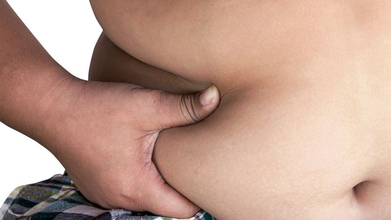 Reducir la flora intestinal puede combatir la obesidad, según un estudio