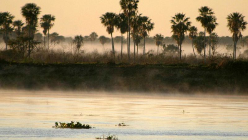 'Aquí Bahía', la experiencia en el Chaco paraguayo de un joven biólogo español