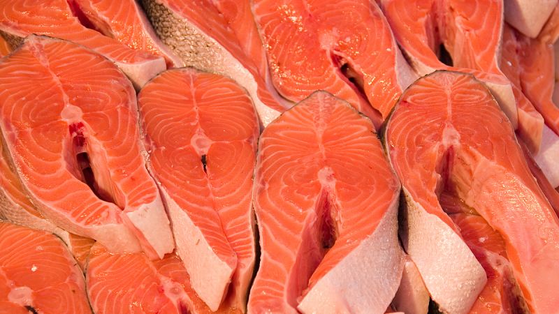 ¿Qué tenemos hoy para comer? Salmón transgénico