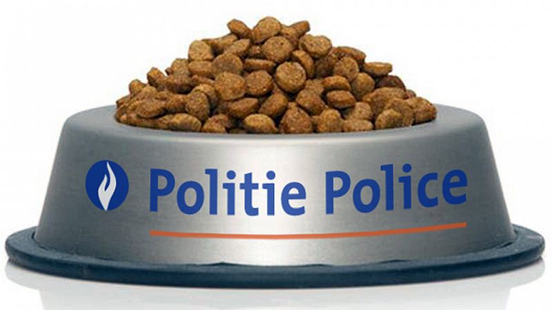 La Policía belga muestra su agradecimiento a "los gatos de Twitter"