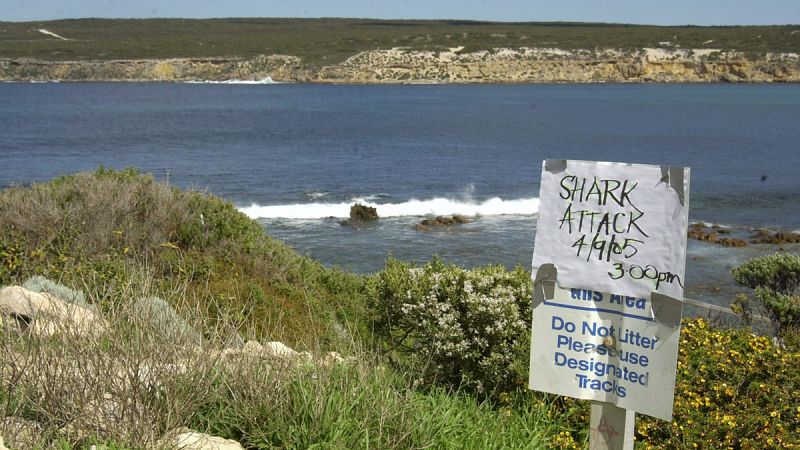 Australia despliega drones en sus playas para prevenir los ataques de tiburones