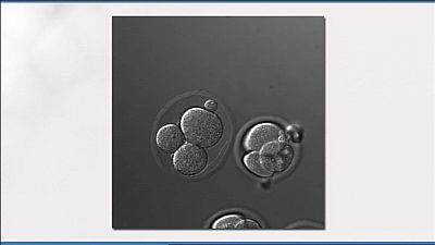 Reprogramaci�n celular y el imaginario de Julio Verne