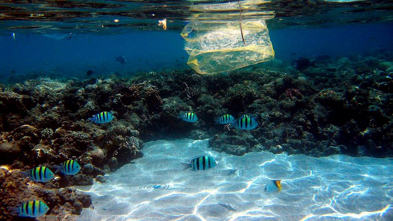 Cerca de 90 países se alían en la Cumbre de París para proteger el agua de los océanos