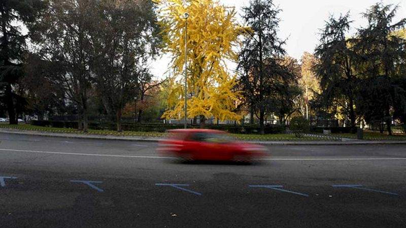 Madrid restringirá el lunes el acceso por matrículas pares o impares si no se reduce la contaminación
