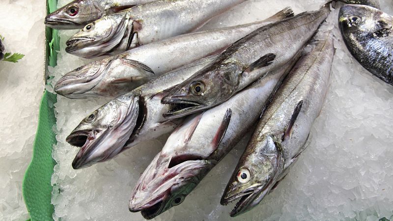 Bruselas propone reducir un 60,5% las capturas de merluza del sur para 2016