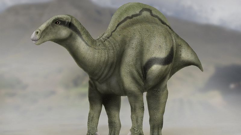 Hallada una nueva especie de dinosaurio en Castellón