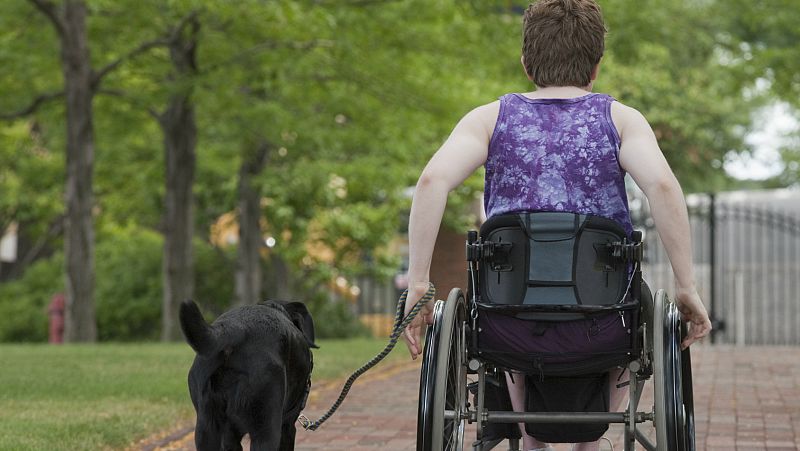 Esclerosis Múltiple, primera causa de discapacidad neurológica en adultos jóvenes tras los accidentes de trafico