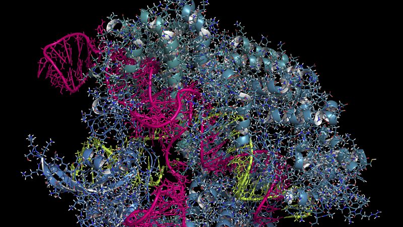 'Science' declara la edición genética como el descubrimiento del año