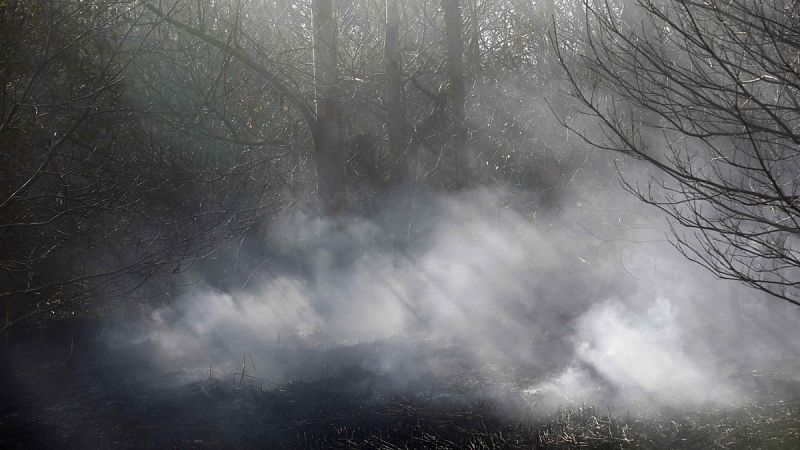 Los trabajos de extinción y el cambio meteorológico reducen a 60 los incendios activos en Asturias