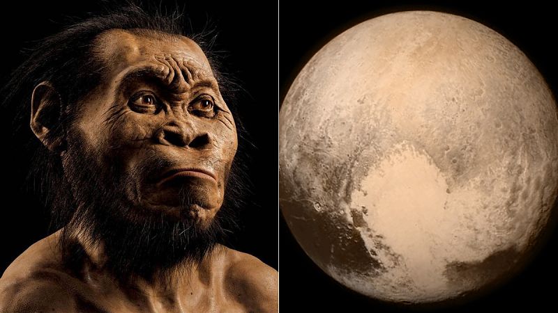 Lo mejor de la ciencia en 2015