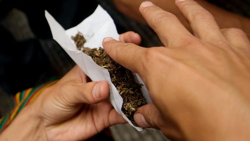 Colombia reglamenta el uso medicinal de la marihuana