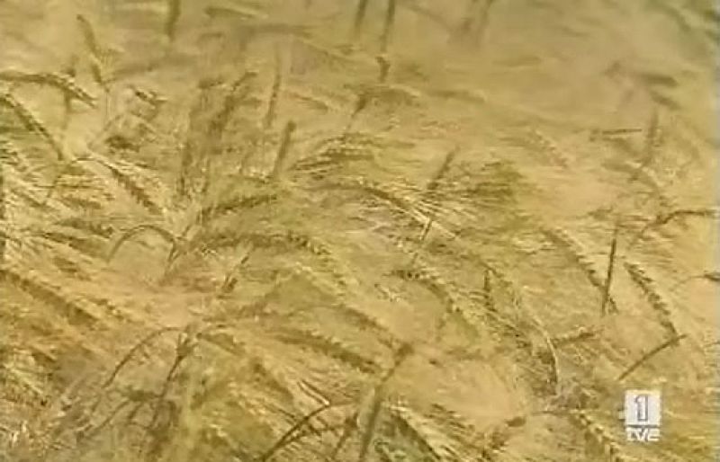 Especular con la comida, un negocio rentable