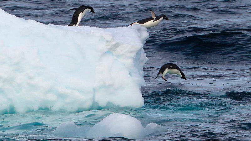 Los grandes icebergs contribuyen a controlar el calentamiento global