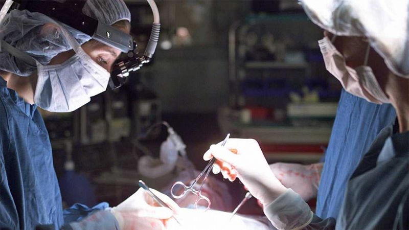 España registra en 2015 un nuevo récord en donación de órganos, con 13 trasplantes diarios