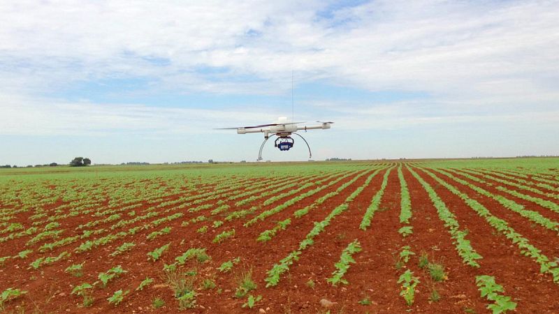 Drones contra las malas hierbas